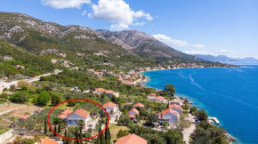 Apartments by the sea Viganj, Peljesac - 19391